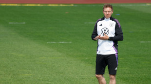 WM-Quali: Nagelsmann bringt Deb&uuml;tant Collins