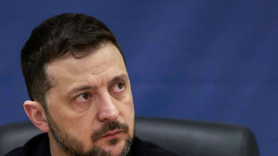 Selenskyj nach Einigung mit Verb&uuml;ndeten auf Plan zu Kriegsende zu Treffen mit Putin bereit