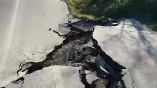 Frana in Molise ha conformazione complessa, l'ultima attivazione nel 2015