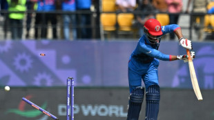 Afghanistan coach Trott laments collapse after Bangladesh defeat