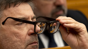 Giorgetti, su energia discussione non facile, speriamo risposta Ue a breve