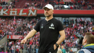 Transfersperre ausgesetzt: K&ouml;ln darf Spieler verpflichten