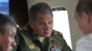 El ministro de Defensa ruso llega a Ir&aacute;n para una visita oficial