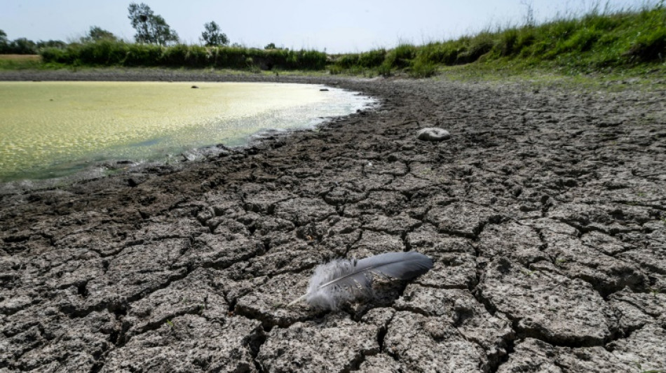 S&eacute;cheresse : 90 d&eacute;partements plac&eacute;s en &eacute;tat d'alerte