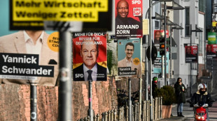 Insa-"Sonntagstrend": Union, SPD und AfD mit Einbu&szlig;en - Linke w&auml;re im Bundestag