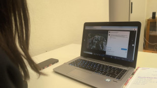 Nelle startup innovative pi&ugrave; giovani al Nord, donne al Sud