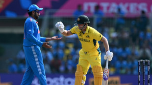Warner beats Tendulkar's fastest 1,000 World Cup runs mark