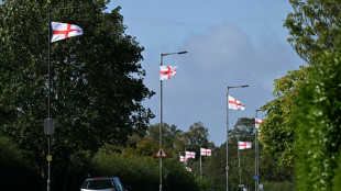 Immigration opposition fuels English national flag frenzy
