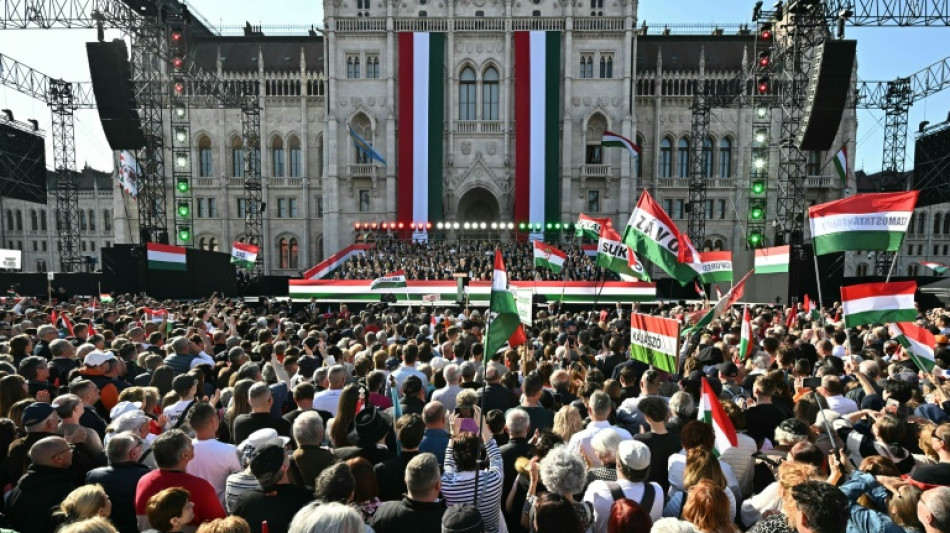  Hungary pre-election showdown draws crowds amid foreign interference claims 