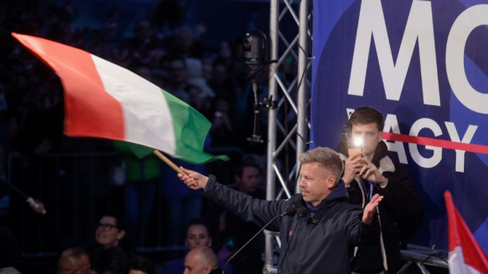  Ungarn w&auml;hlen neues Parlament - Niederlage Orbans m&ouml;glich 