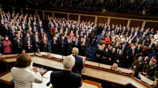 Trump's next 100 days: Now comes the hard part