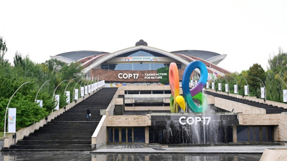 UN biodiversity summit opens with nature goals off track