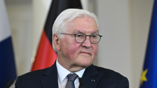Steinmeier lobt Reformpaket der schwarz-roten Koalition