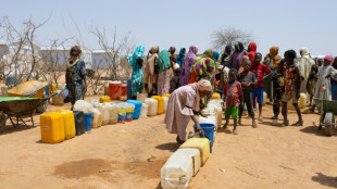 Un record de pr&egrave;s de 76 millions de d&eacute;plac&eacute;s internes dans le monde