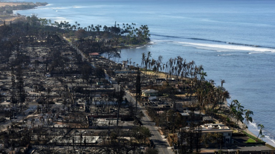 Haw&aacute;i anuncia un acuerdo de USD 4.000 millones en demandas por incendios forestales