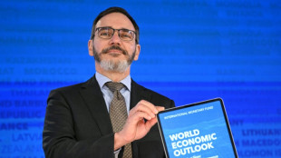 Crise no Oriente Médio pode prolongar inflação, diz economista-chefe do FMI