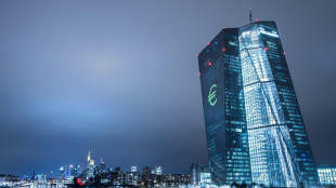Bce, rischi crescenti dal boom di investimenti Ia finanziati dal credito privato