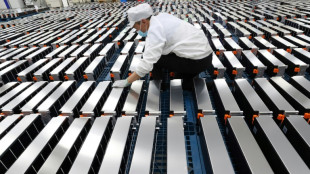 Mexikanisches Parlament beschlie&szlig;t Verstaatlichung von Lithium-F&ouml;rderung