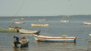La crise p&eacute;troli&egrave;re laisse les p&ecirc;cheurs mozambicains sur la berge