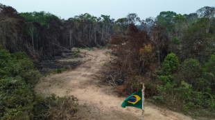Deforestaci&oacute;n en la Amazon&iacute;a brasile&ntilde;a vuelve a caer 66% en agosto
