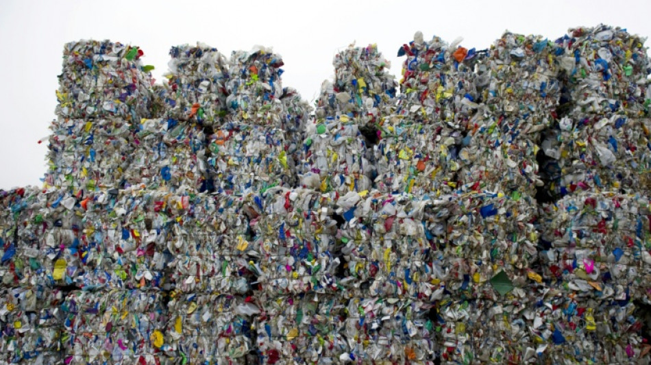 Recycling "funktioniert": Zahlen widerlegen laut Umweltbundesamt Abfallmythen