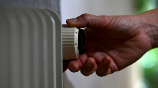 Linken-Chef van Aken fordert Aussetzen von Strom- und Gassperren im Winter