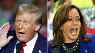 Finale des US-Wahlkampfs: Harris und Trump mit letzten Auftritten