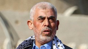 Onzi&egrave;me mois de guerre &agrave; Gaza, Isra&euml;l promet d'&eacute;liminer le nouveau chef du Hamas