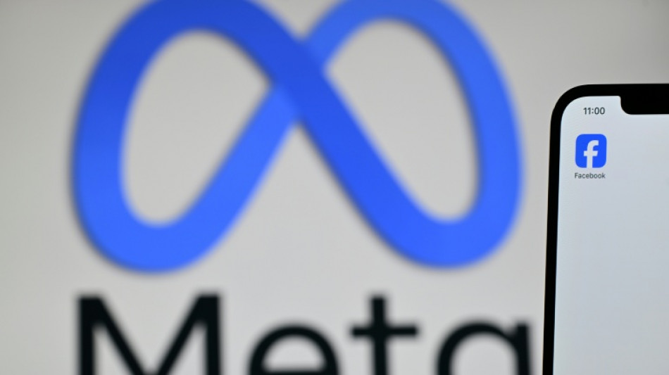 Plus de 80 m&eacute;dias espagnols r&eacute;clament en justice &agrave; Madrid 550 millions d'euros &agrave; Meta