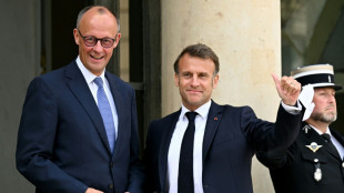 Le nouveau chancelier allemand &agrave; l'Elys&eacute;e pour relancer la relation avec Paris