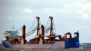 Le naufrage d'un cargo russe en M&eacute;diterran&eacute;e, une "attaque terroriste", selon l'entreprise propri&eacute;taire