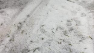 La Terra potrebbe correggere il clima con una nuova era glaciale