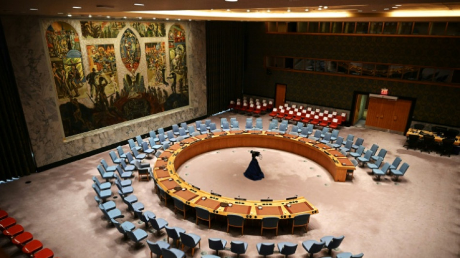 El Consejo de Seguridad de la ONU aprueba una nueva fuerza antipandillas para Hait&iacute;