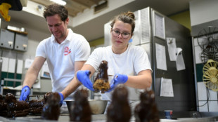 Zahl der Neuverträge in dualer Ausbildung nimmt ab