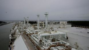 Gr&uuml;nen-Abgeordnete: Kanzler soll bei LNG-Terminal vor R&uuml;gen f&uuml;r Klarheit sorgen