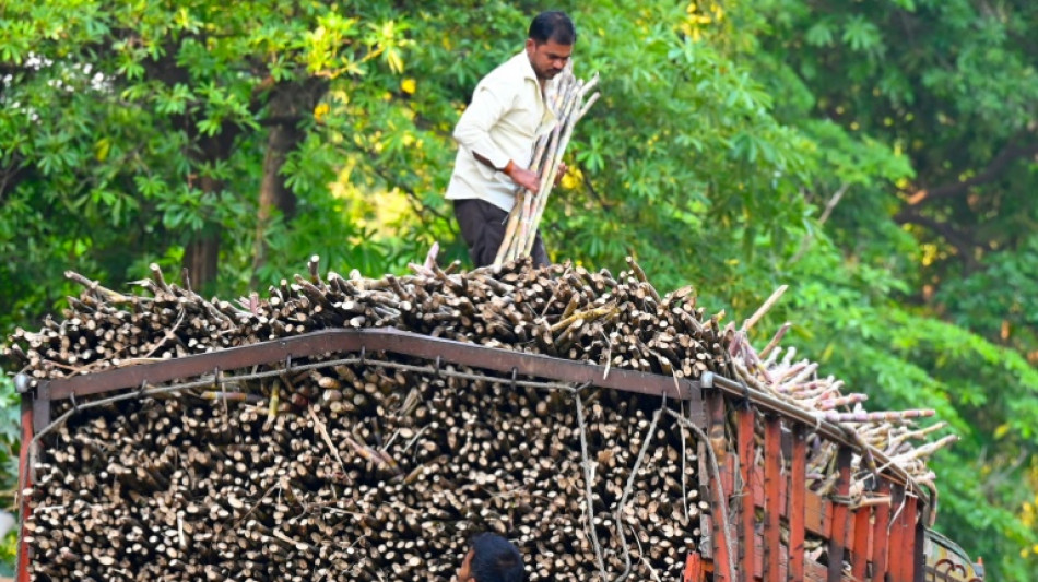  India bars sugar exports until September  