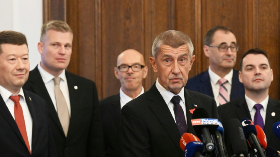 Babis soll zum tschechischen Regierungschef ernannt werden