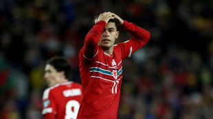 Wales' World Cup dream ended by Bosnia and Herzegovina
