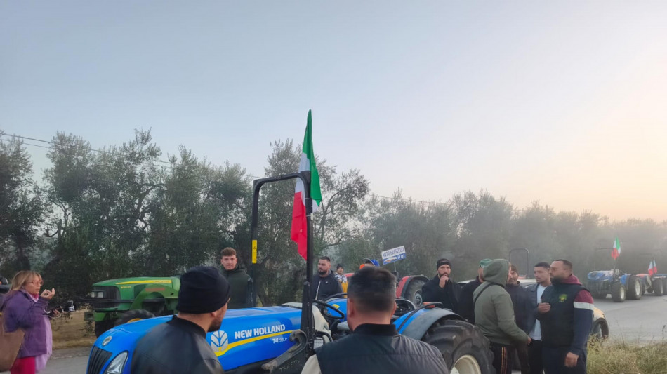 Lollobrigida, nel dl 60 milioni per il carburante agricolo, a brevissimo a imprese 