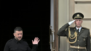 Zelensky insiste em se reunir com Putin diante de estancamento de conversas de paz