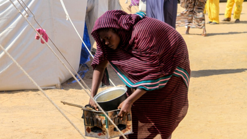 Soudan: plus de 770 km d'exode pour les d&eacute;plac&eacute;s d'El-Facher