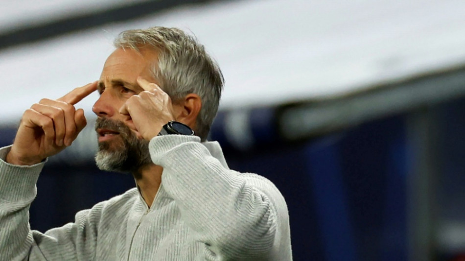 Rose zu WM-Pl&auml;nen: "Irgendwann spielen wir auf dem Mount Everest"