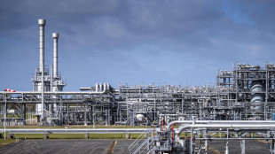 Il gas apre in rialzo sopra i 48 euro sulla piazza Ttf di Amsterdam