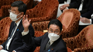 El gobierno japon&eacute;s respaldar&aacute; la uni&oacute;n de grandes fabricantes para desarrollar chips