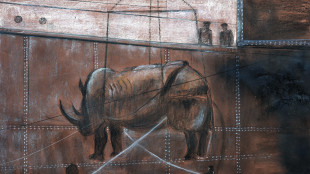 Dante Ferretti, 'l'intelligenza artificiale? Meglio la deficienza normale'