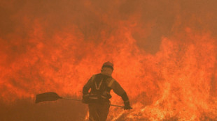 Muere un bombero en Espa&ntilde;a luchando contra un incendio forestal
