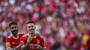 Benfica pip Porto to Portuguese title on final day