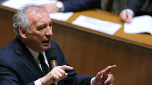 Budget: Bayrou va d&eacute;gainer le 49.3 au risque de la censure