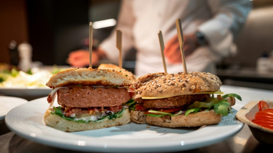 Parlamento Europeu diz n&atilde;o ao 'bife' ou &agrave; 'salsicha' vegetal