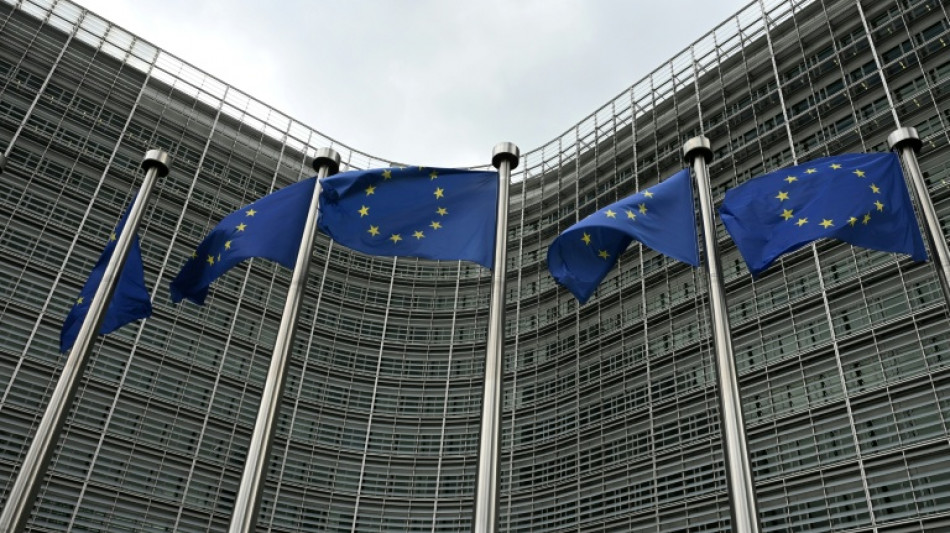  Work on migrant return hubs progressing well, EU countries say 